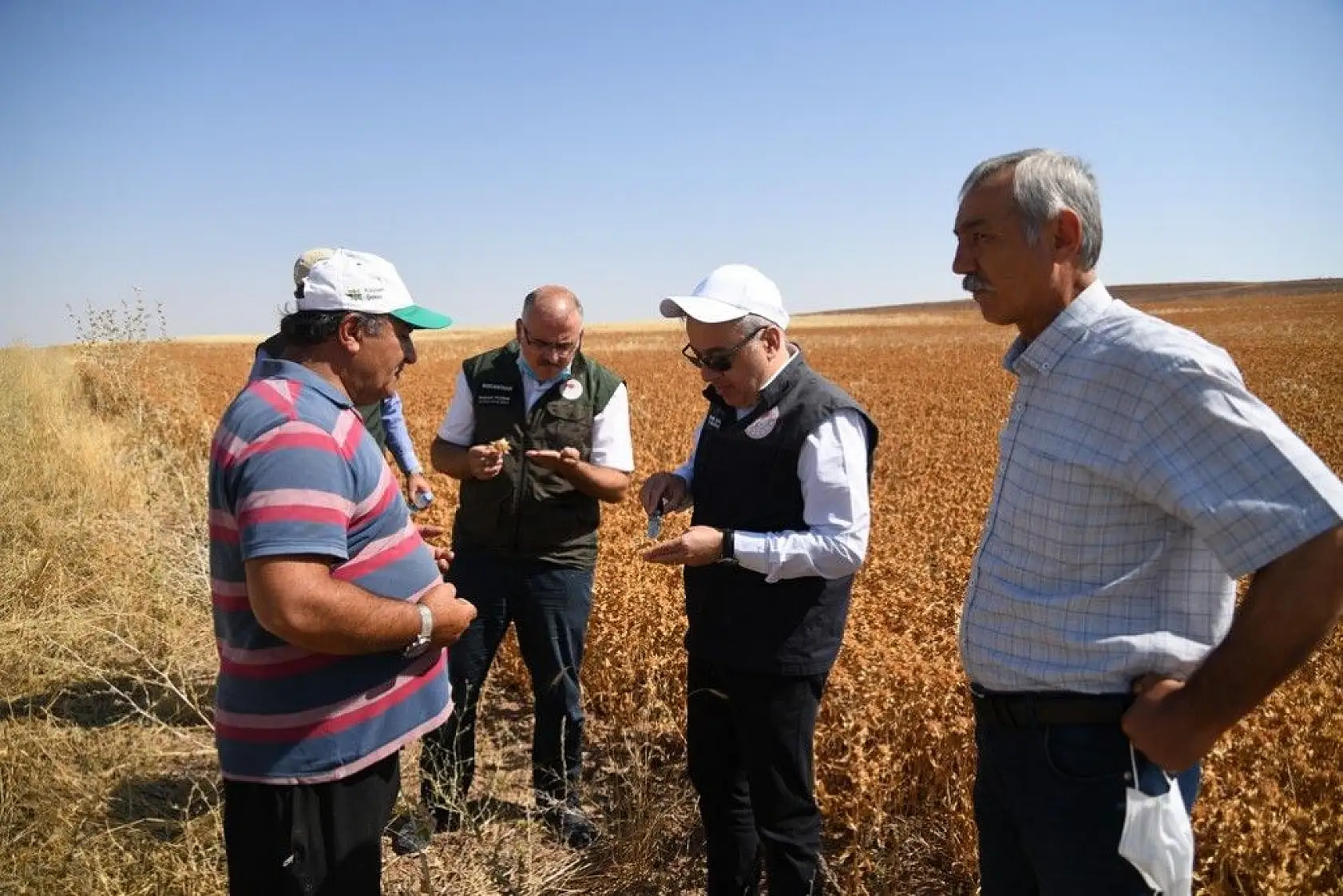 'Aspir' hasadı başladı