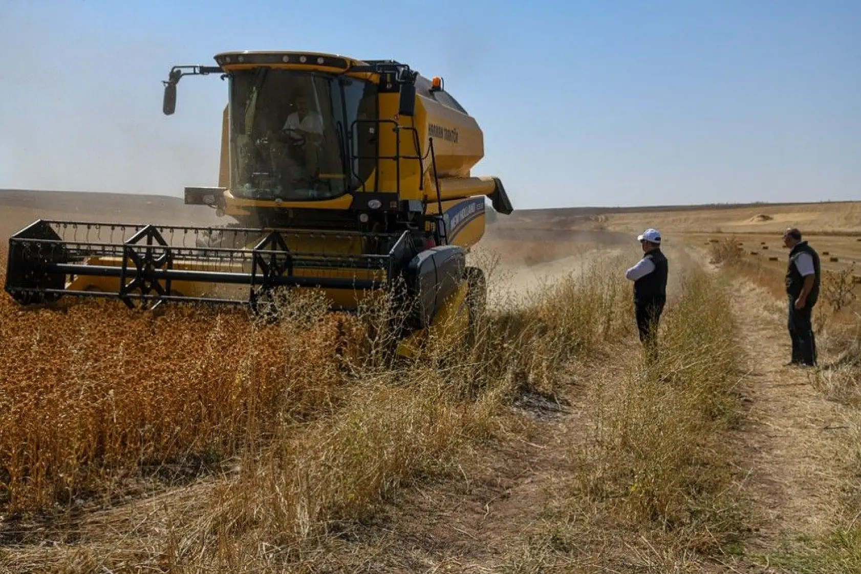 'Aspir' hasadı başladı