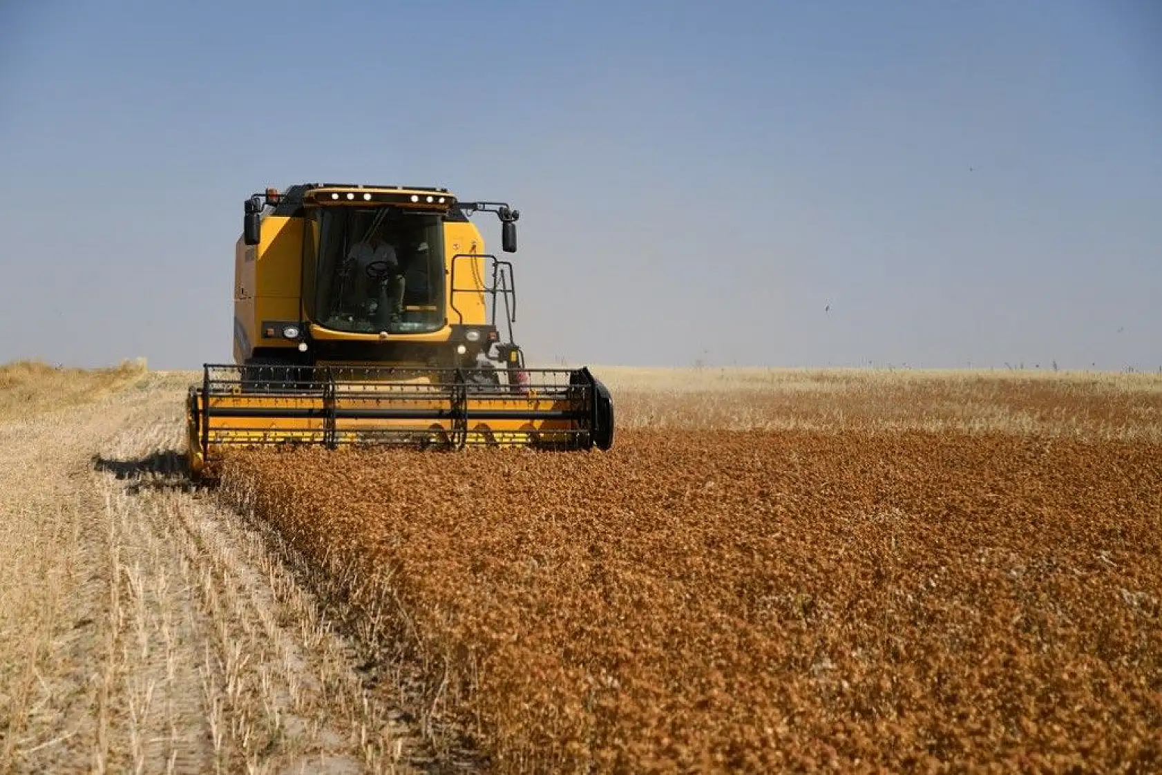 'Aspir' hasadı başladı