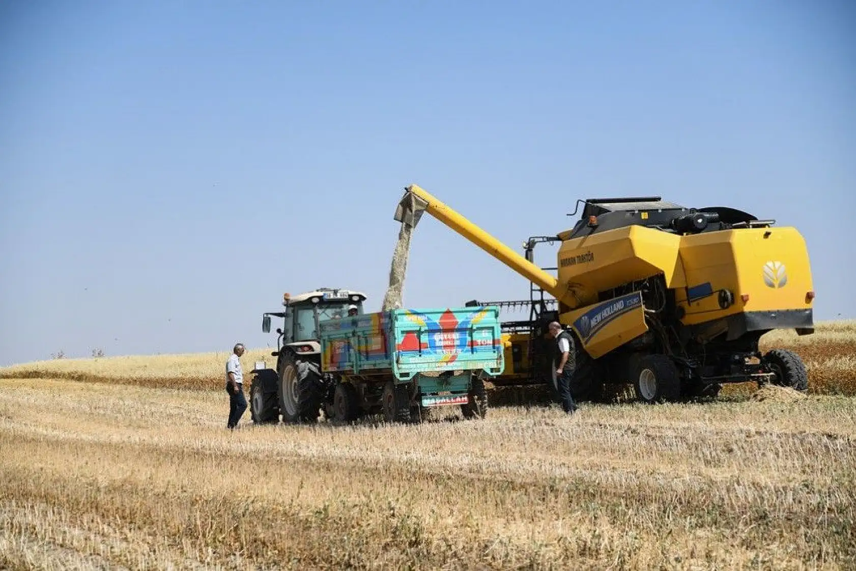 'Aspir' hasadı başladı