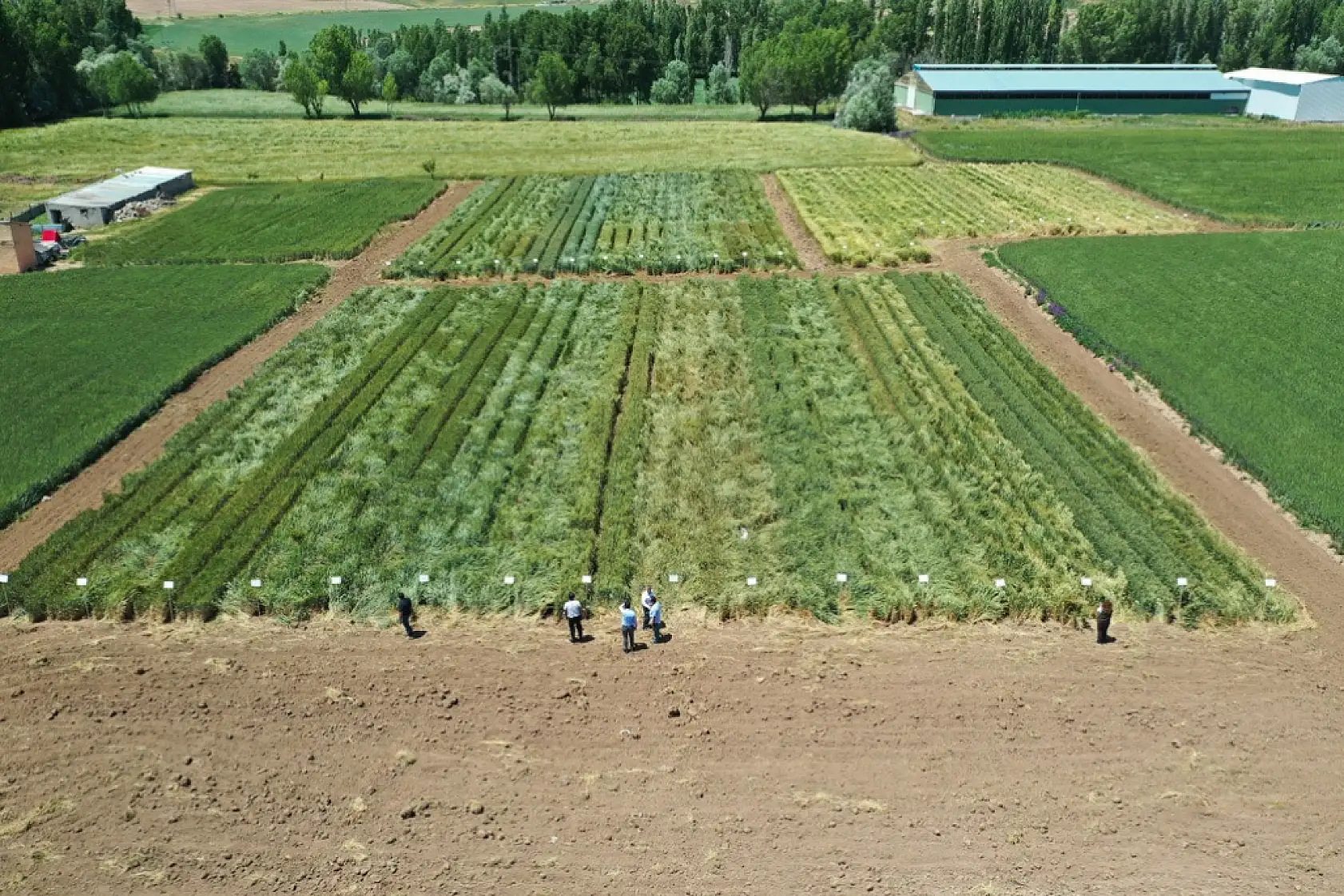 Kayseri'nin en borçlu kesimi belli oldu! Bankalara olan her 3 liralık borcun biri onların çıktı