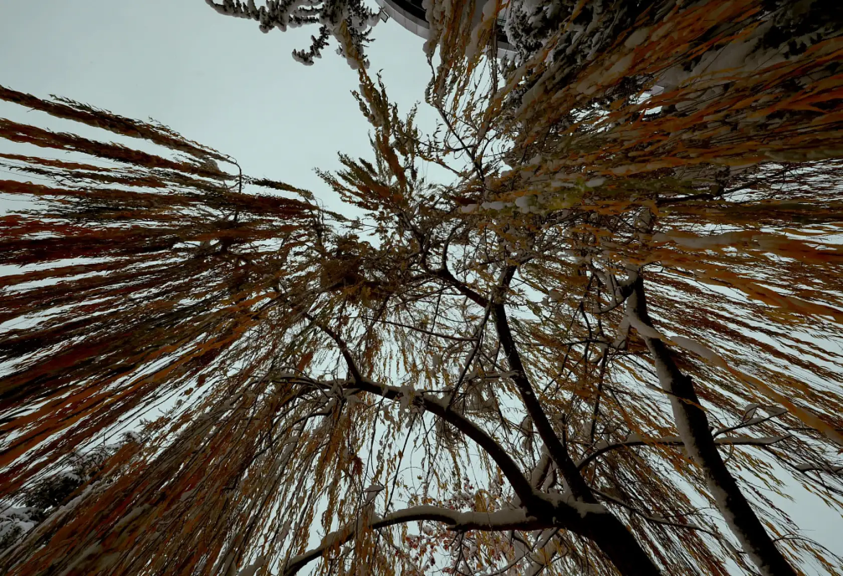 Kayseri'deki üniversiteler paylaştı