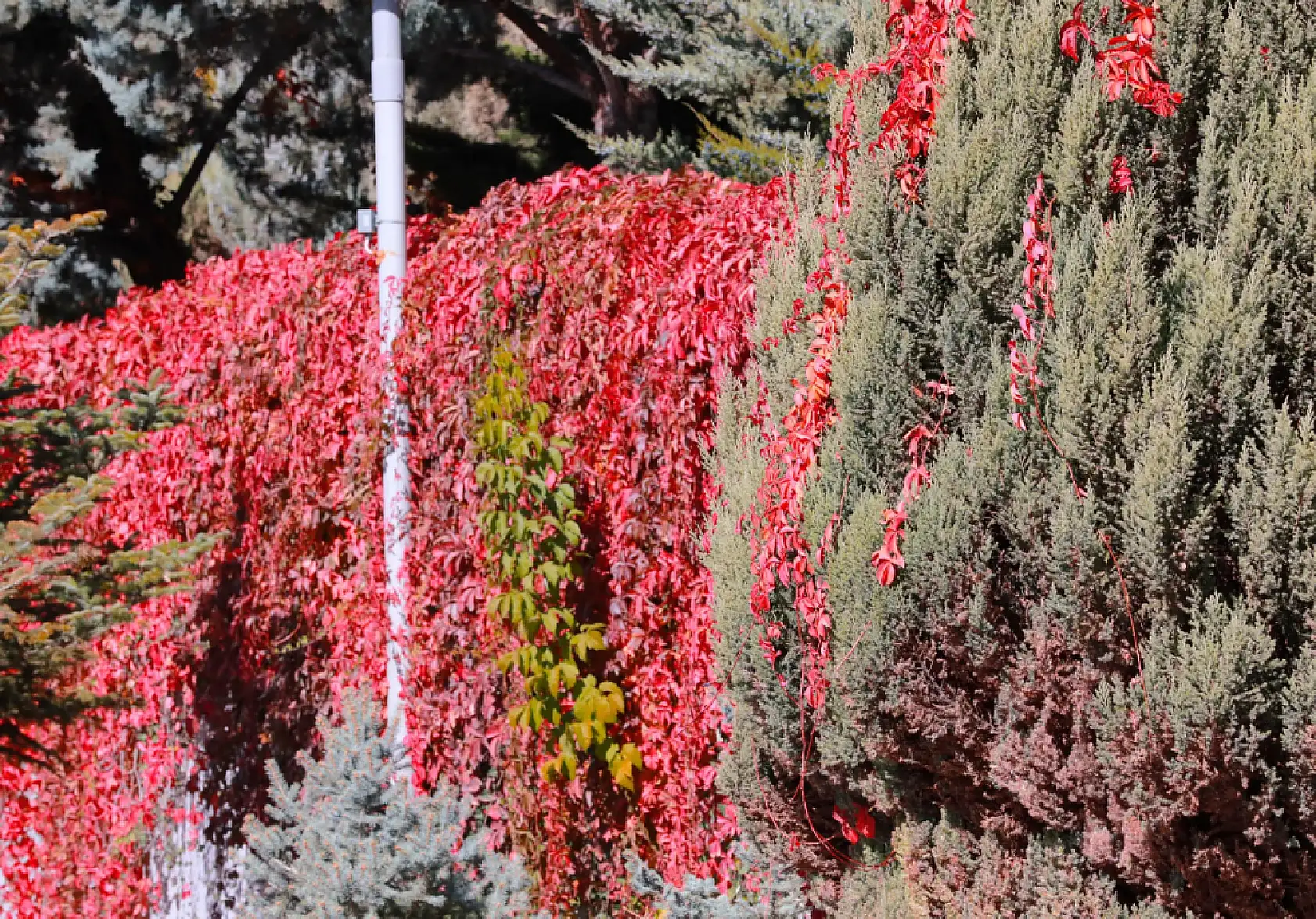 Kayseri'de çekildi!