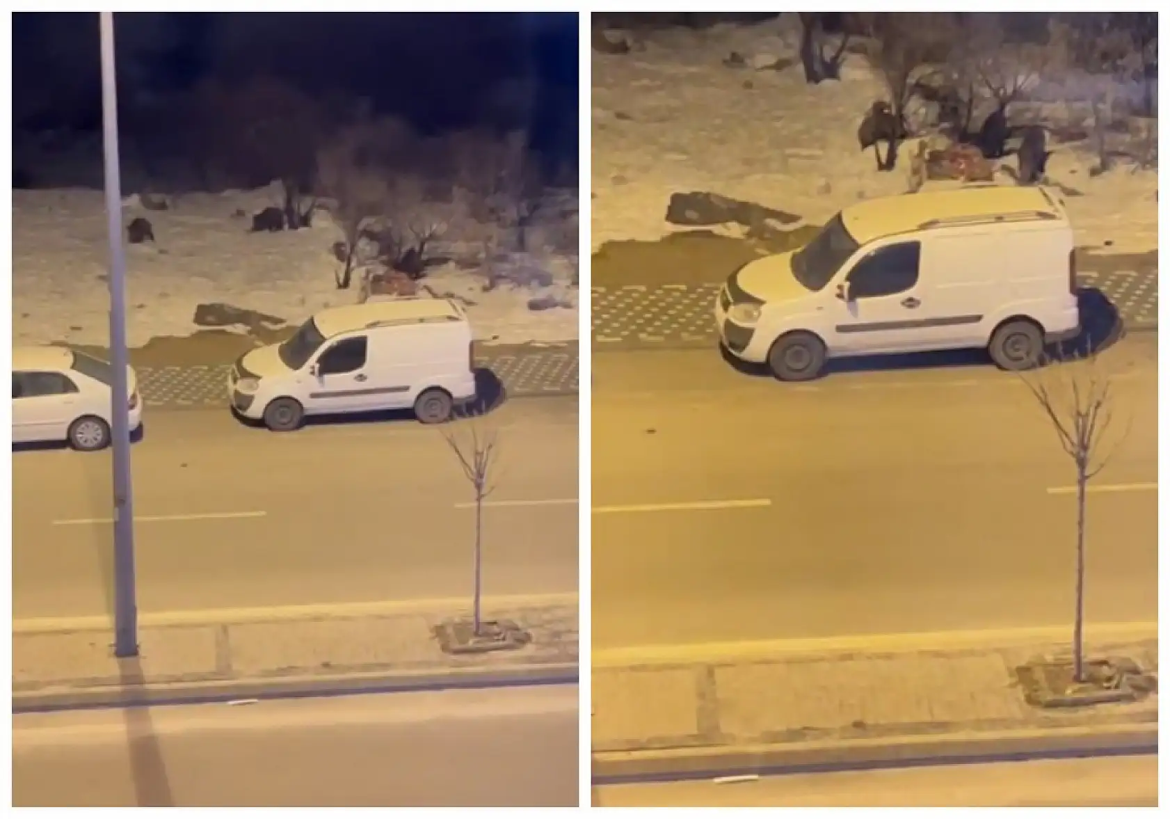 Kayseri'de korkutan görüntü! Talas'ta vatandaş pencereden bakınca gördüklerine inanamadı