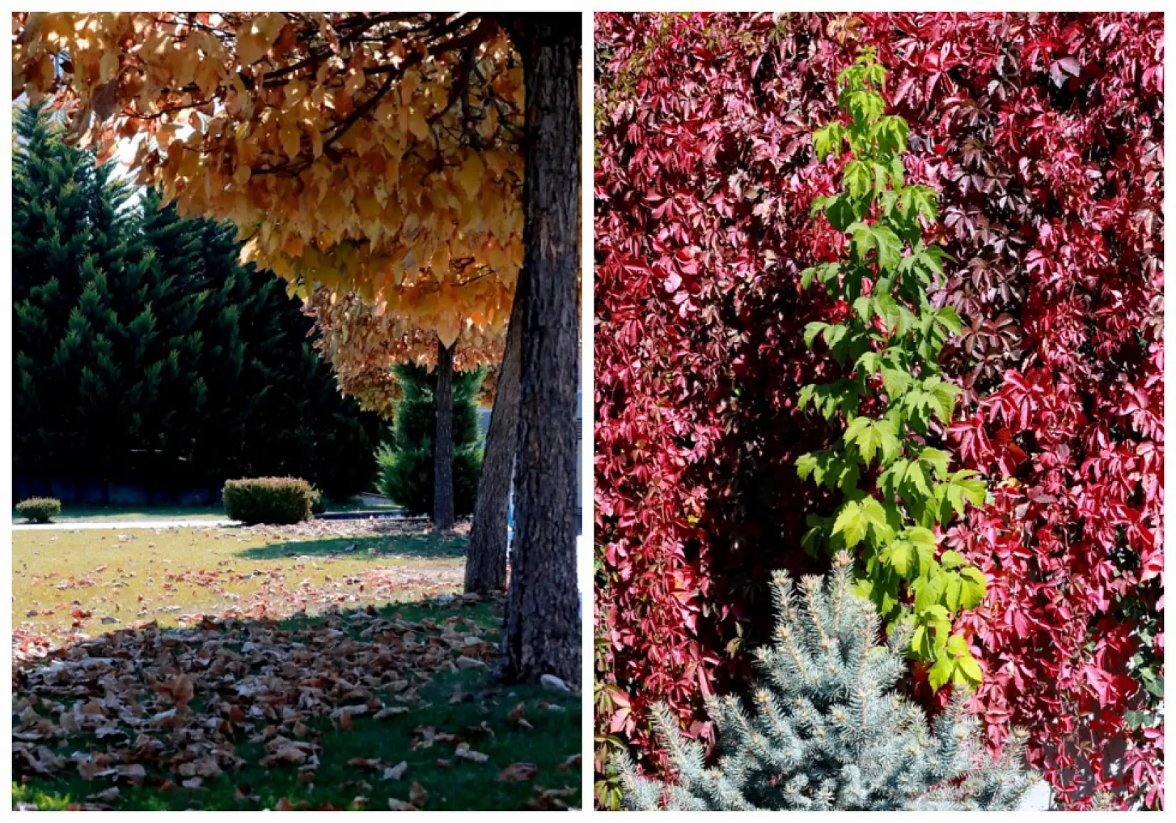 Kayseri'de çekildi!