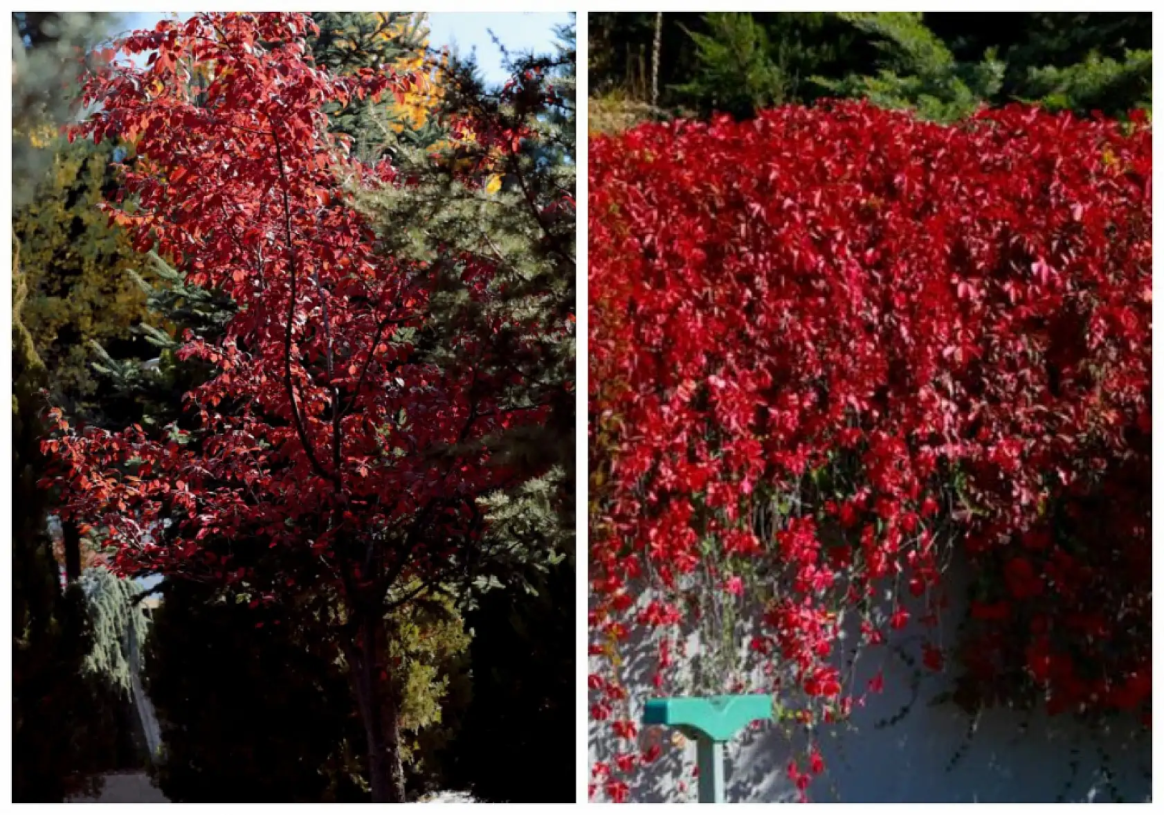 Kayseri'de çekildi!