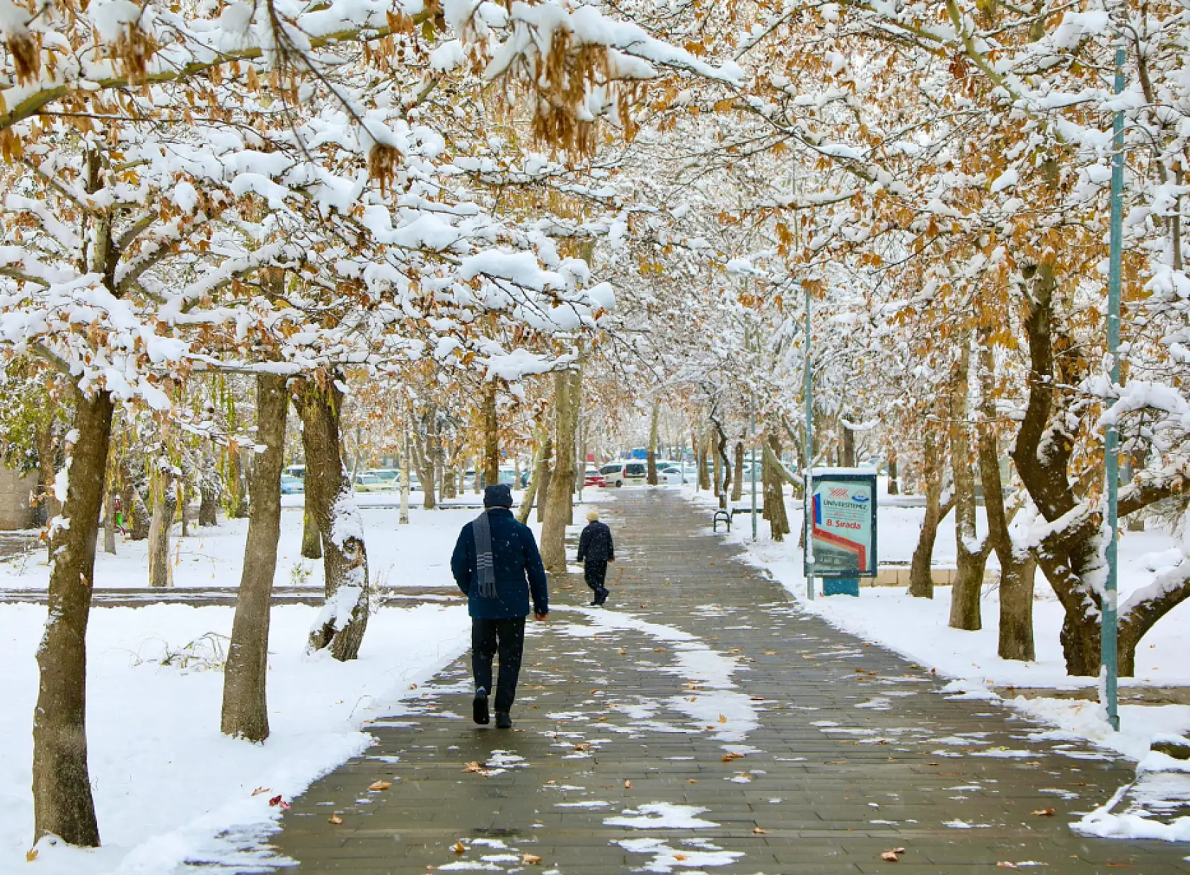Kayseri'deki üniversiteler paylaştı