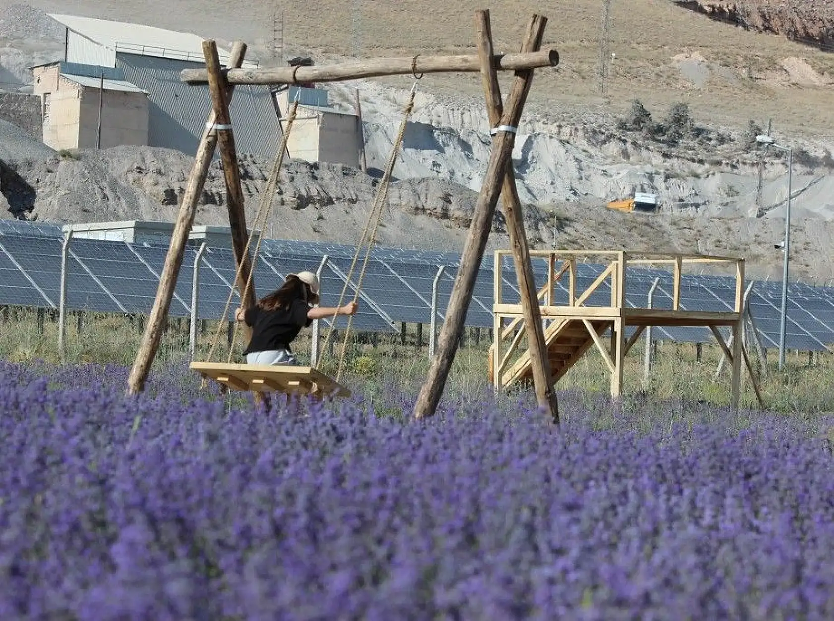 Bozkıra lavanta bahçesi kurdu