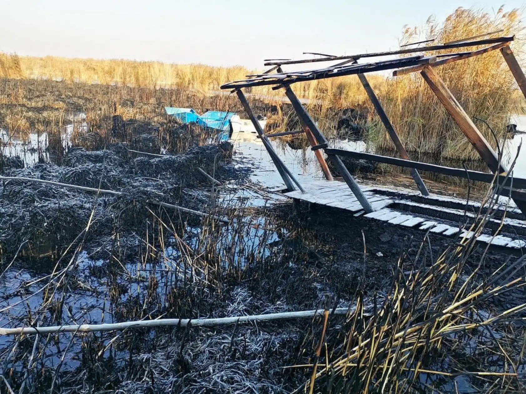 Sultan Sazlığı'ndaki yangının hasarı ortaya çıktı