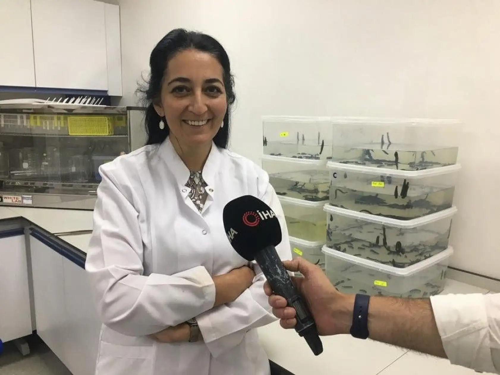 Yerli kanser ilacında faz çalışmaları başlayacak