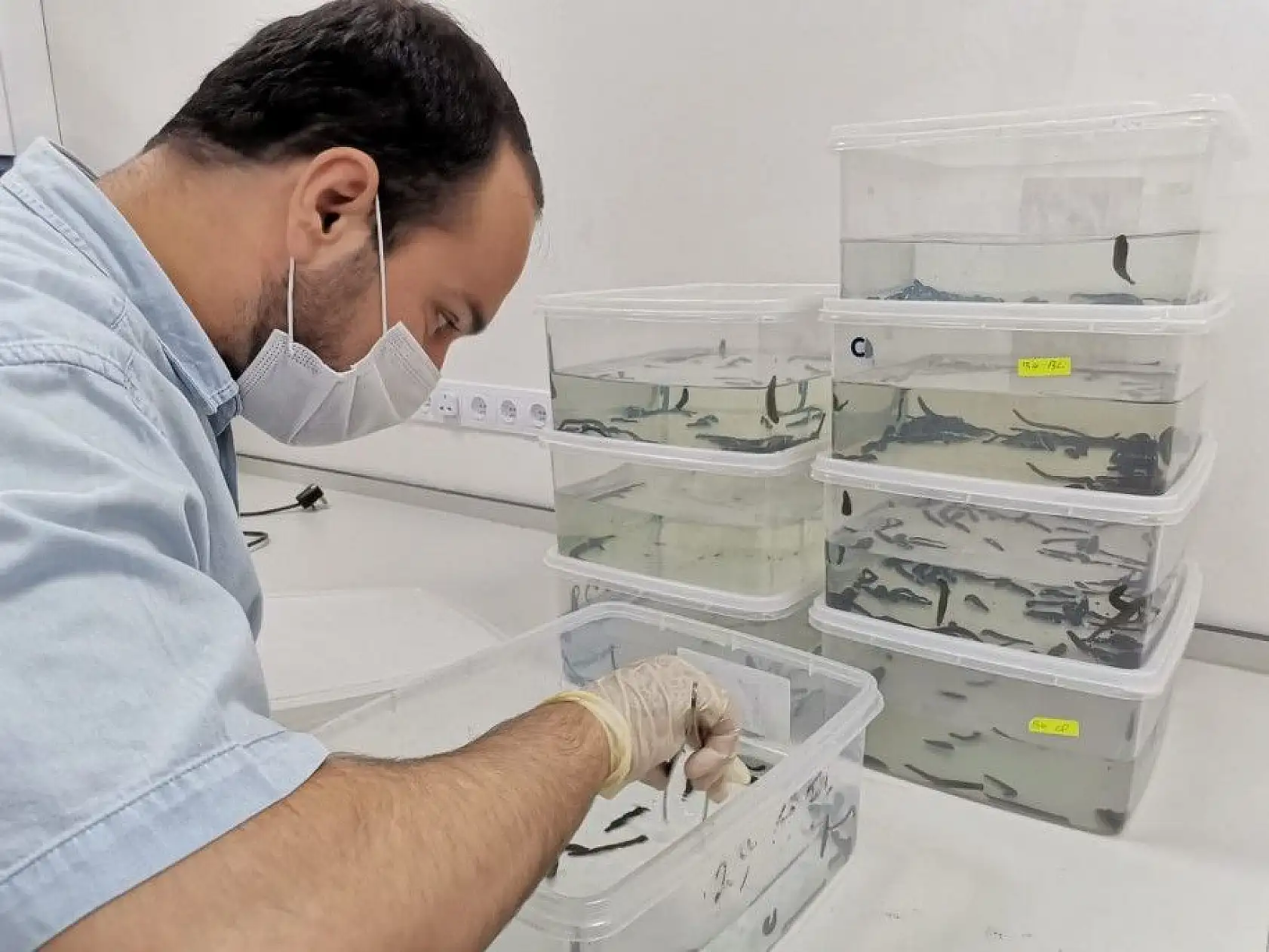 Yerli kanser ilacında faz çalışmaları başlayacak