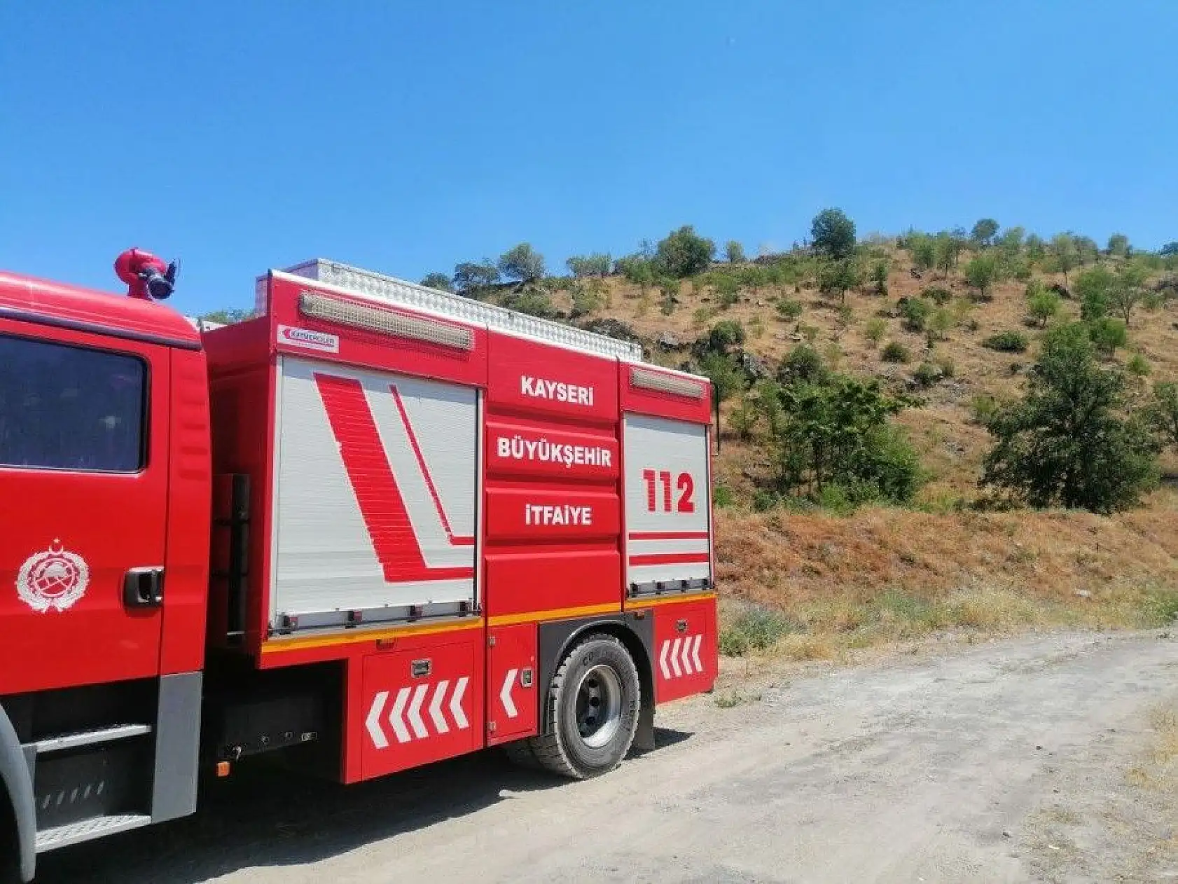 Bin 200 ağaç kurtarıldı