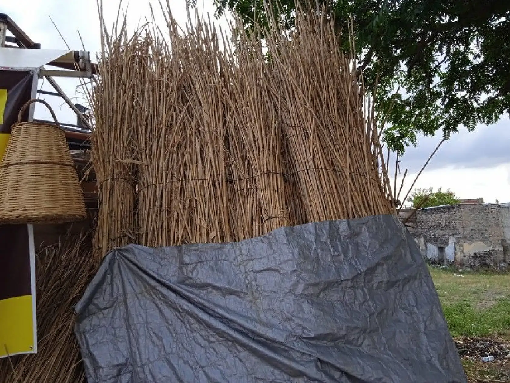 Sektörü değiştirince hayatı da değişti