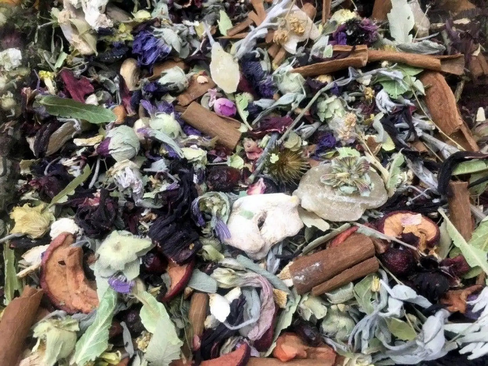 Gribin düşmanı 'kış çayı'