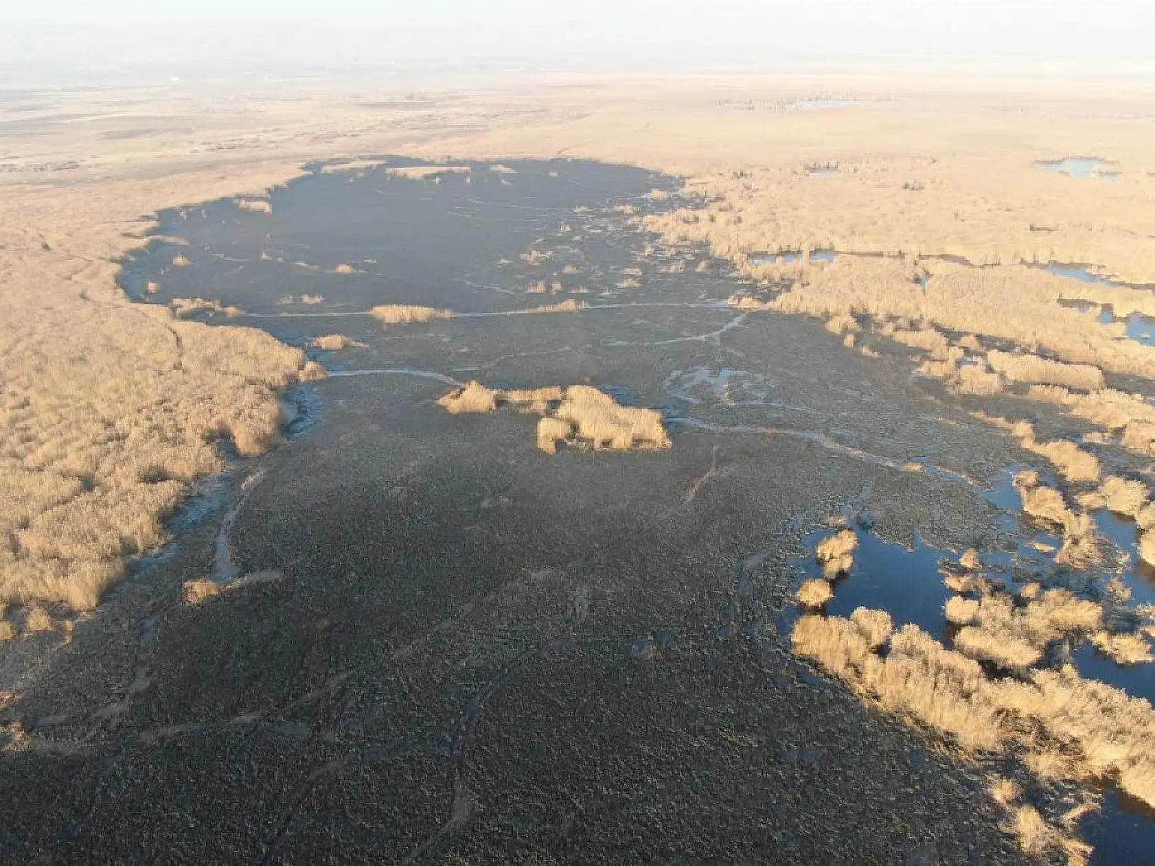 Sultan Sazlığı'ndaki yangının hasarı ortaya çıktı