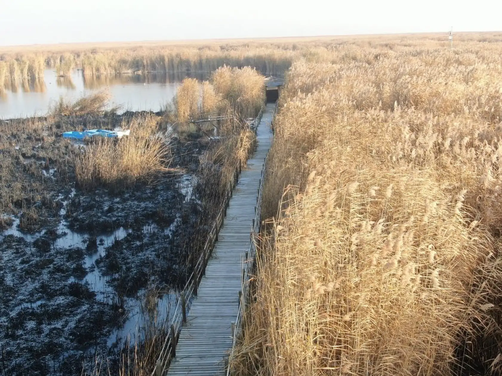 Sultan Sazlığı'ndaki yangının hasarı ortaya çıktı