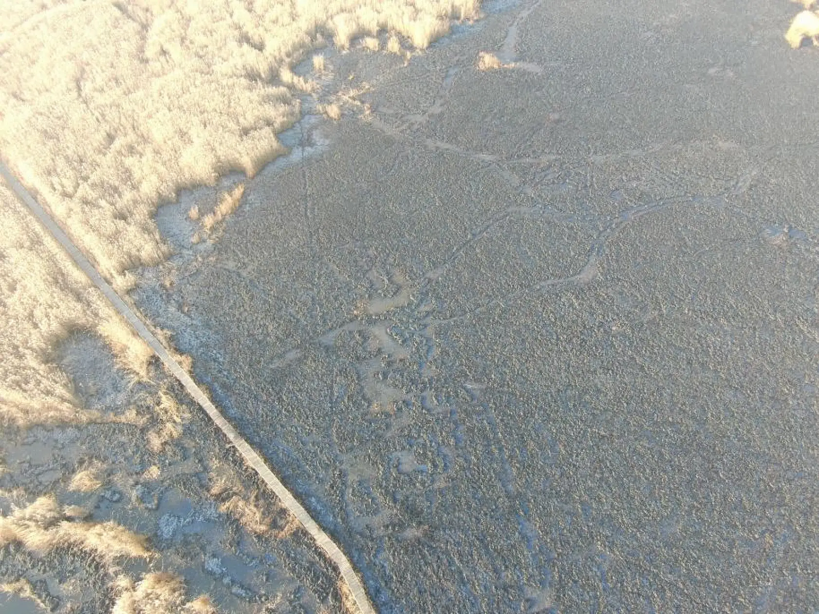 Sultan Sazlığı'ndaki yangının hasarı ortaya çıktı