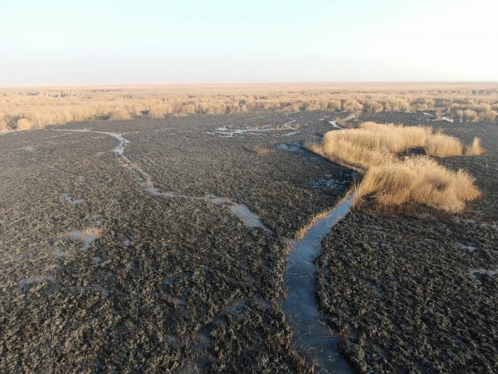 Sultan Sazlığı'ndaki yangının hasarı ortaya çıktı