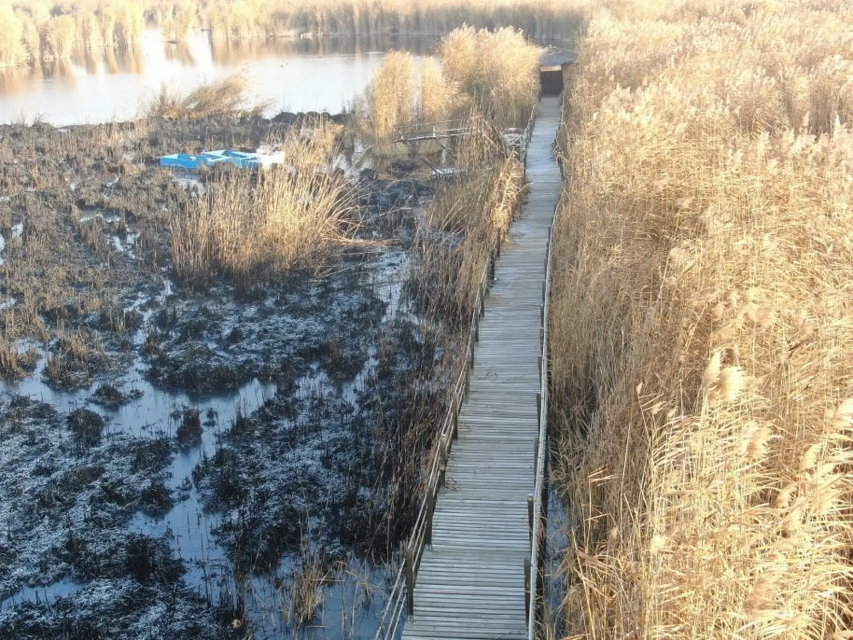 Sultan Sazlığı'ndaki yangının hasarı ortaya çıktı