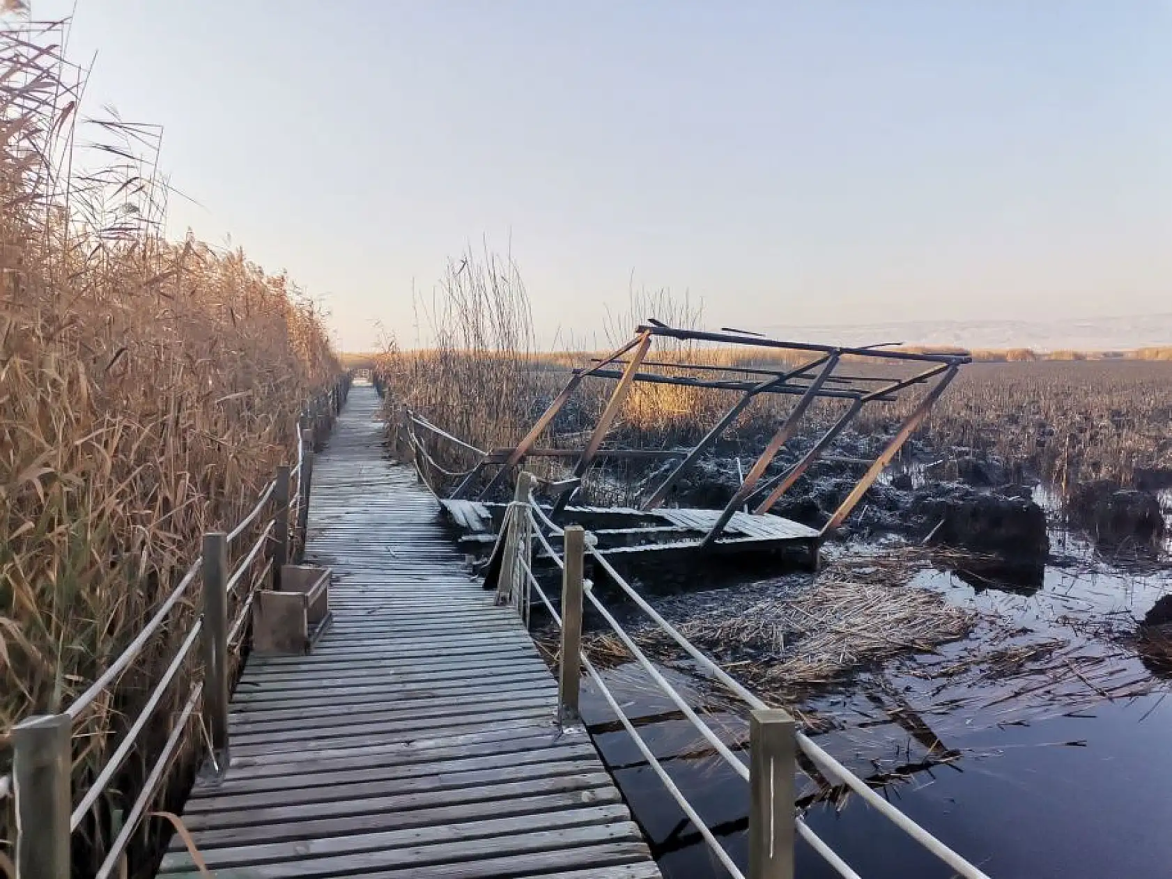 Sultan Sazlığı'ndaki yangının hasarı ortaya çıktı