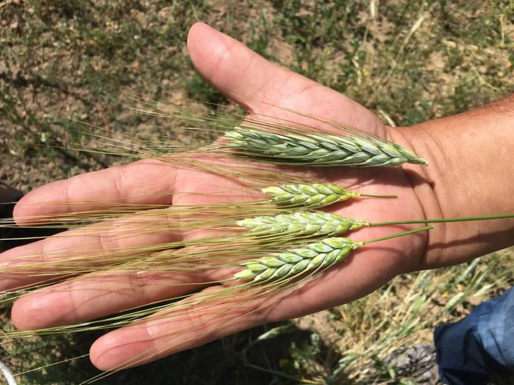 Kayseri'de 'borç batağında' olanlar belli oldu! Onlar alarm veriyor