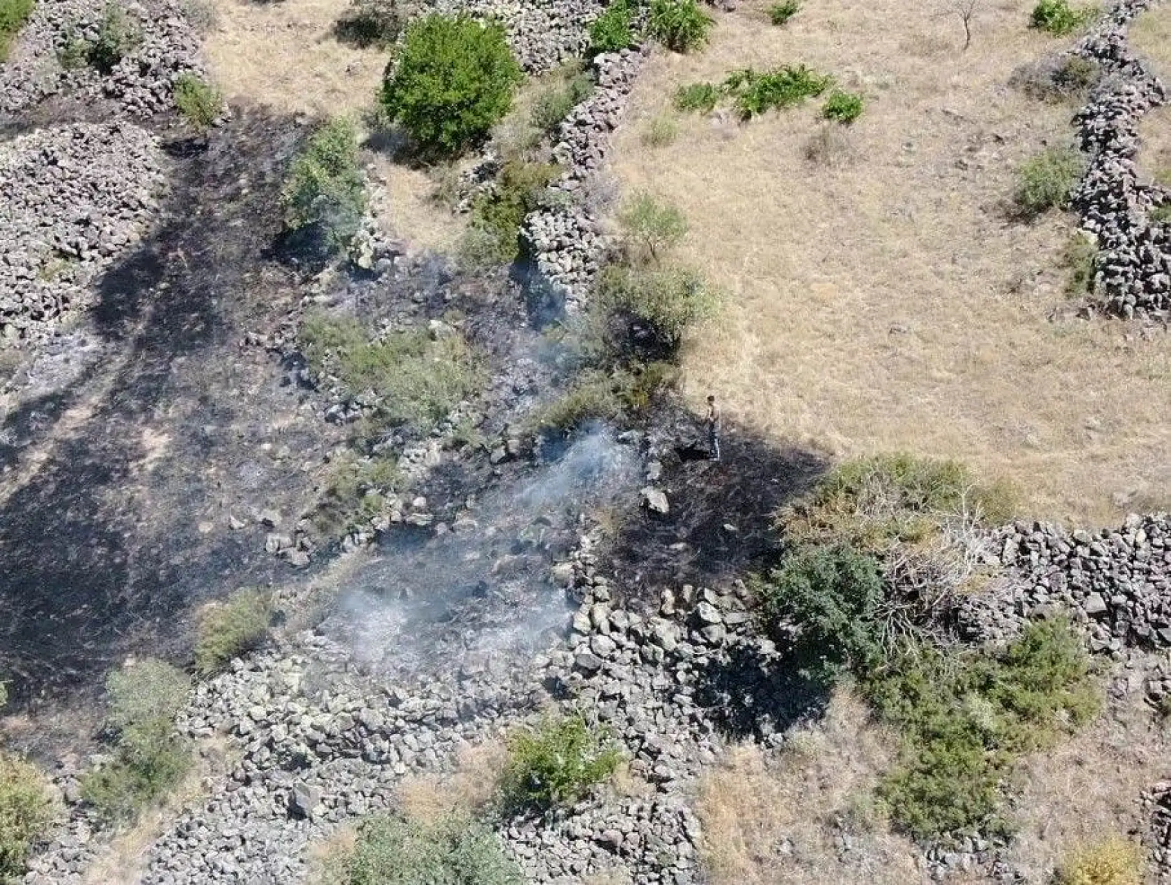 Bin 200 ağaç kurtarıldı