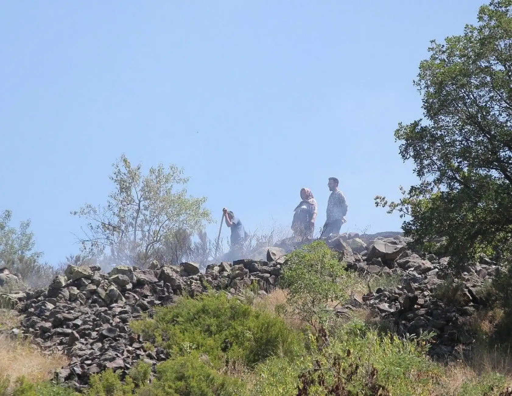 Bin 200 ağaç kurtarıldı