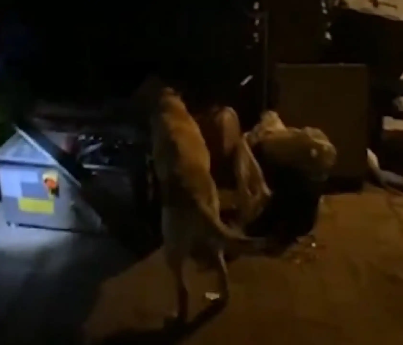 Kayseri'de uyuşturucu operasyonunda 7 gözaltı