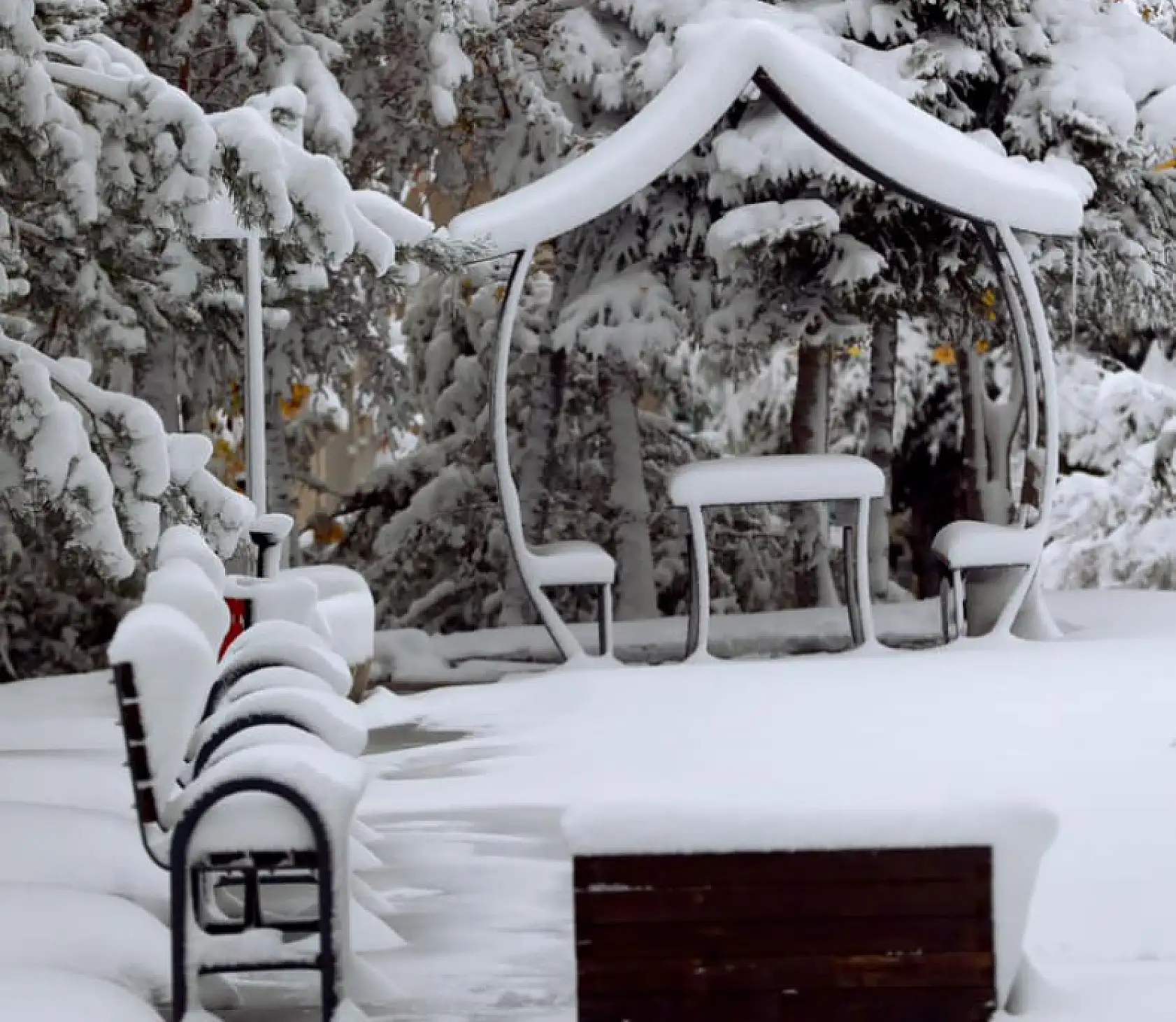 Kayseri'deki üniversiteler paylaştı