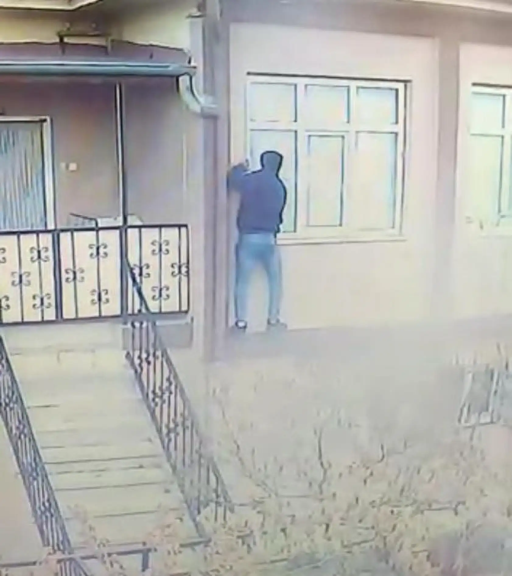 Tarzan gibi tırmandı ve bakın sonrasında ne oldu?