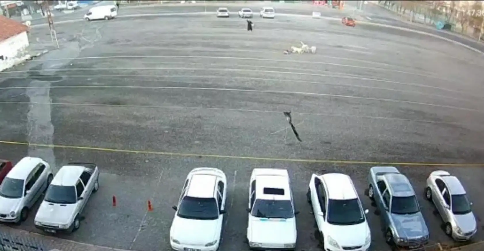 Kayseri'de 'kahraman kadın' aranıyor!