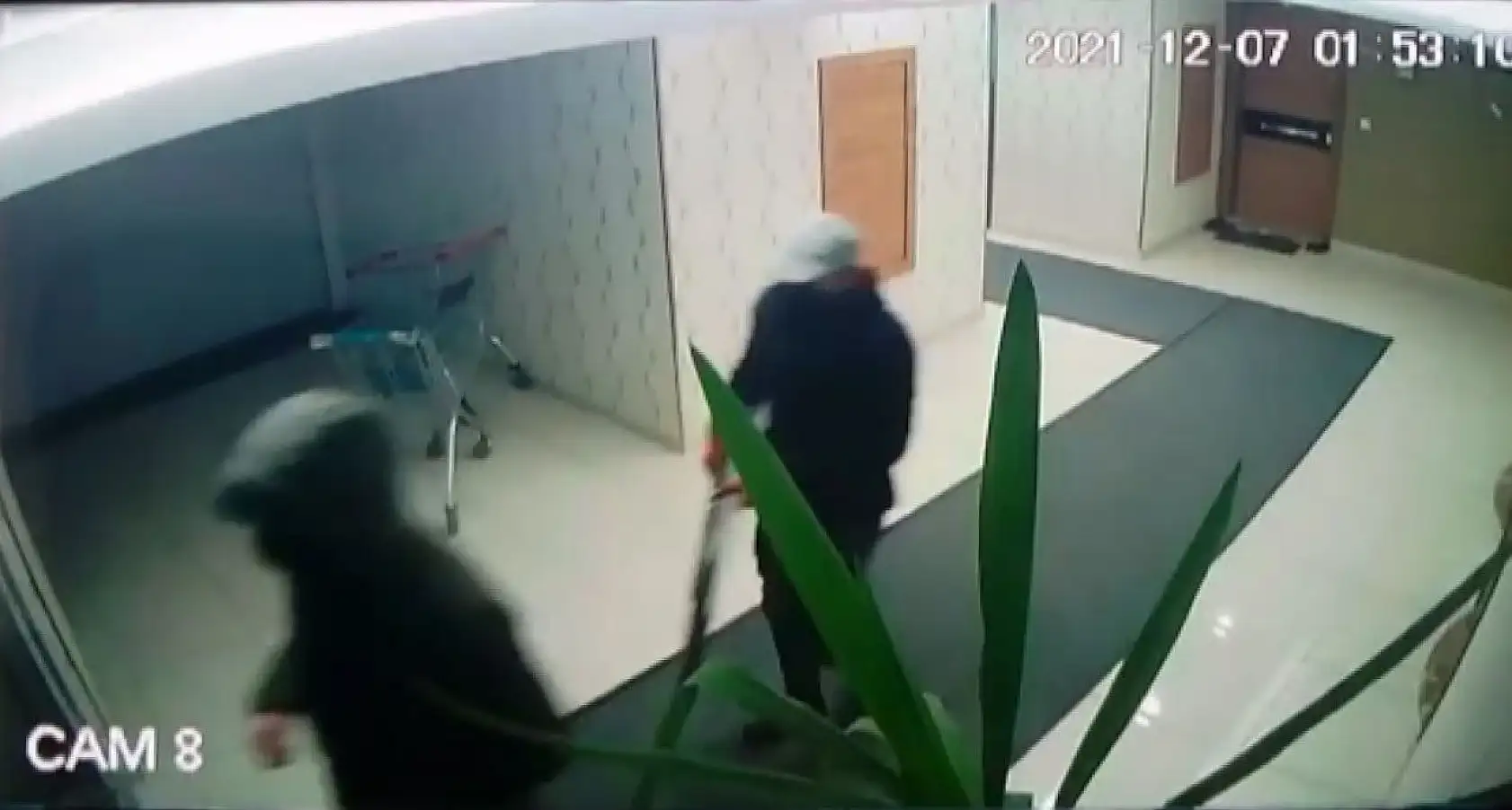 Değnekli hırsızlar kamerada!