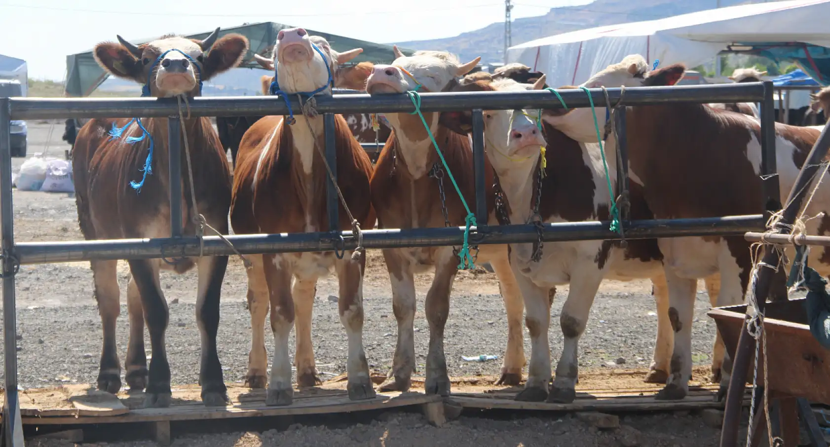 Bayram yaklaştı pazarlıklar kızıştı...
