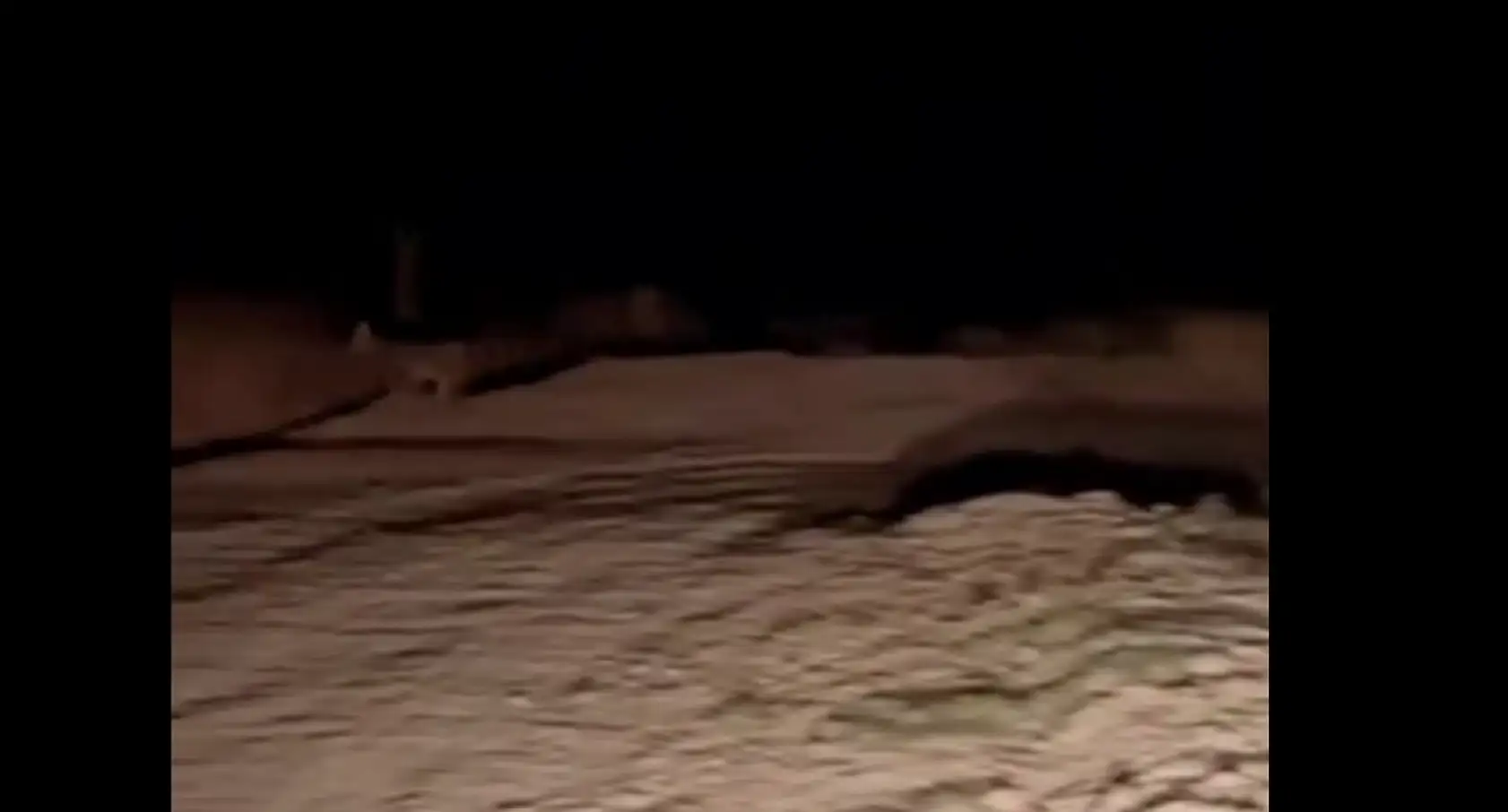 Ormanın Hayaleti Kayseri'de karanlık çökünce bir anda çiftçinin önüne çıktı!