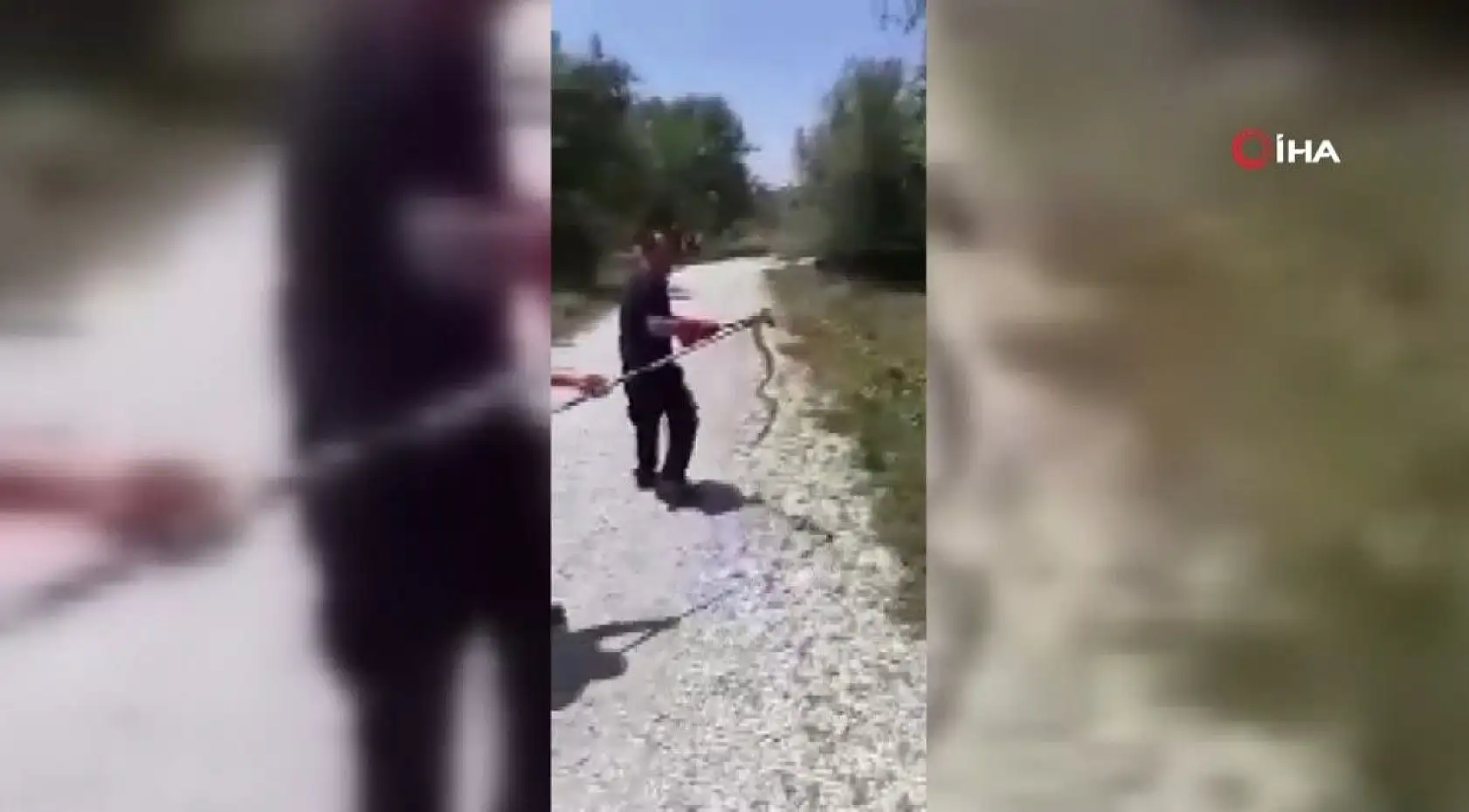 Büfede yılan paniği yaşandı