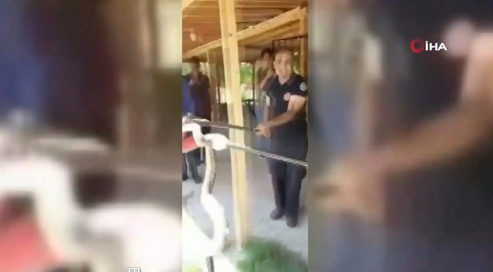 Büfede yılan paniği yaşandı