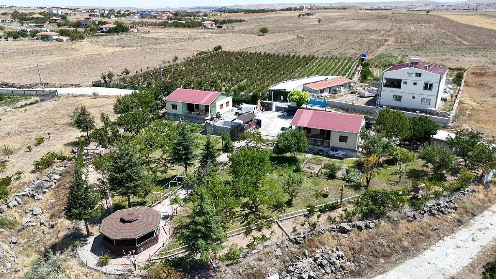 Kayseri'ye alternatif ürün Ahududu ve Böğürtlen!