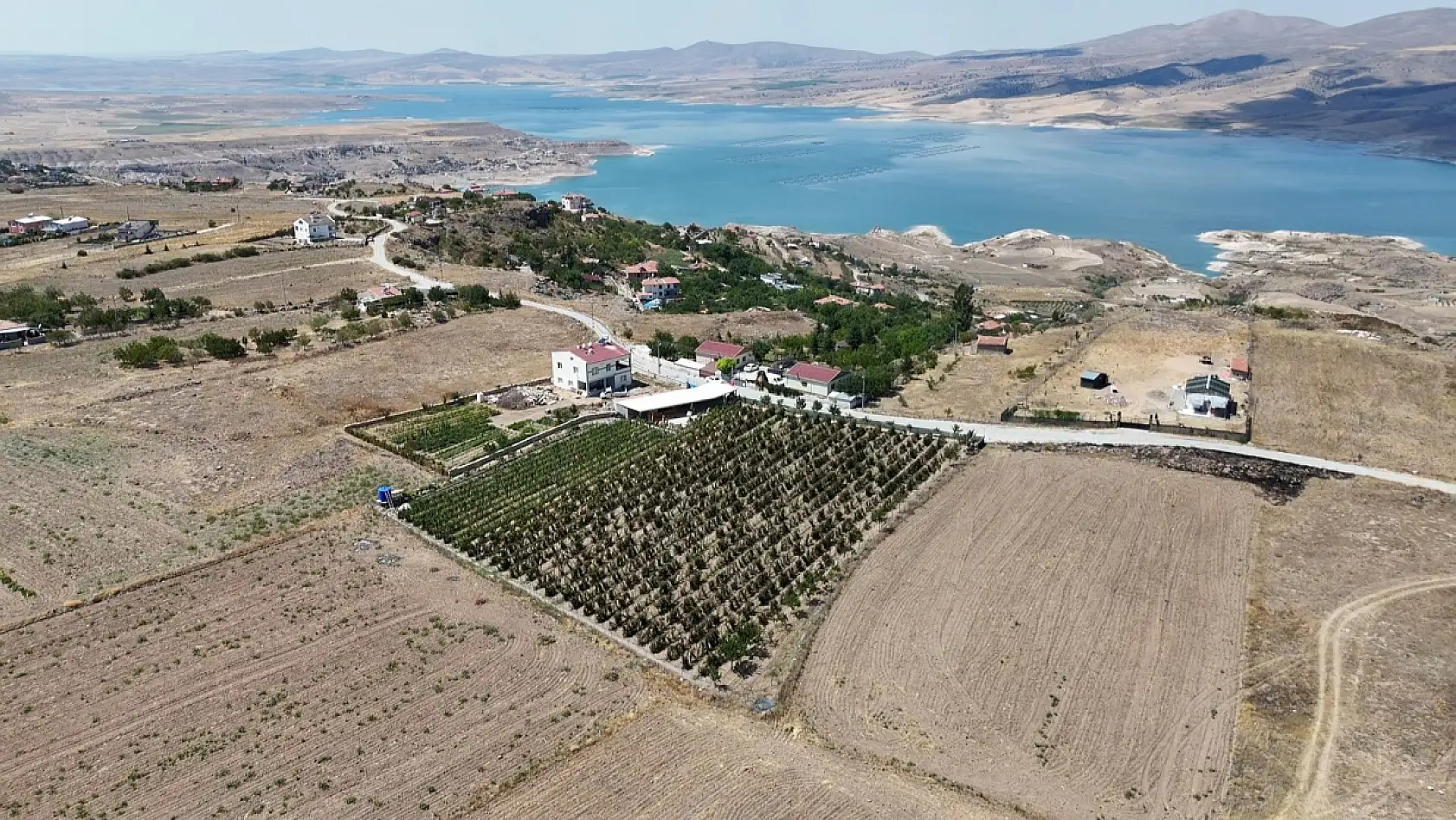 Kayseri'ye alternatif ürün Ahududu ve Böğürtlen!