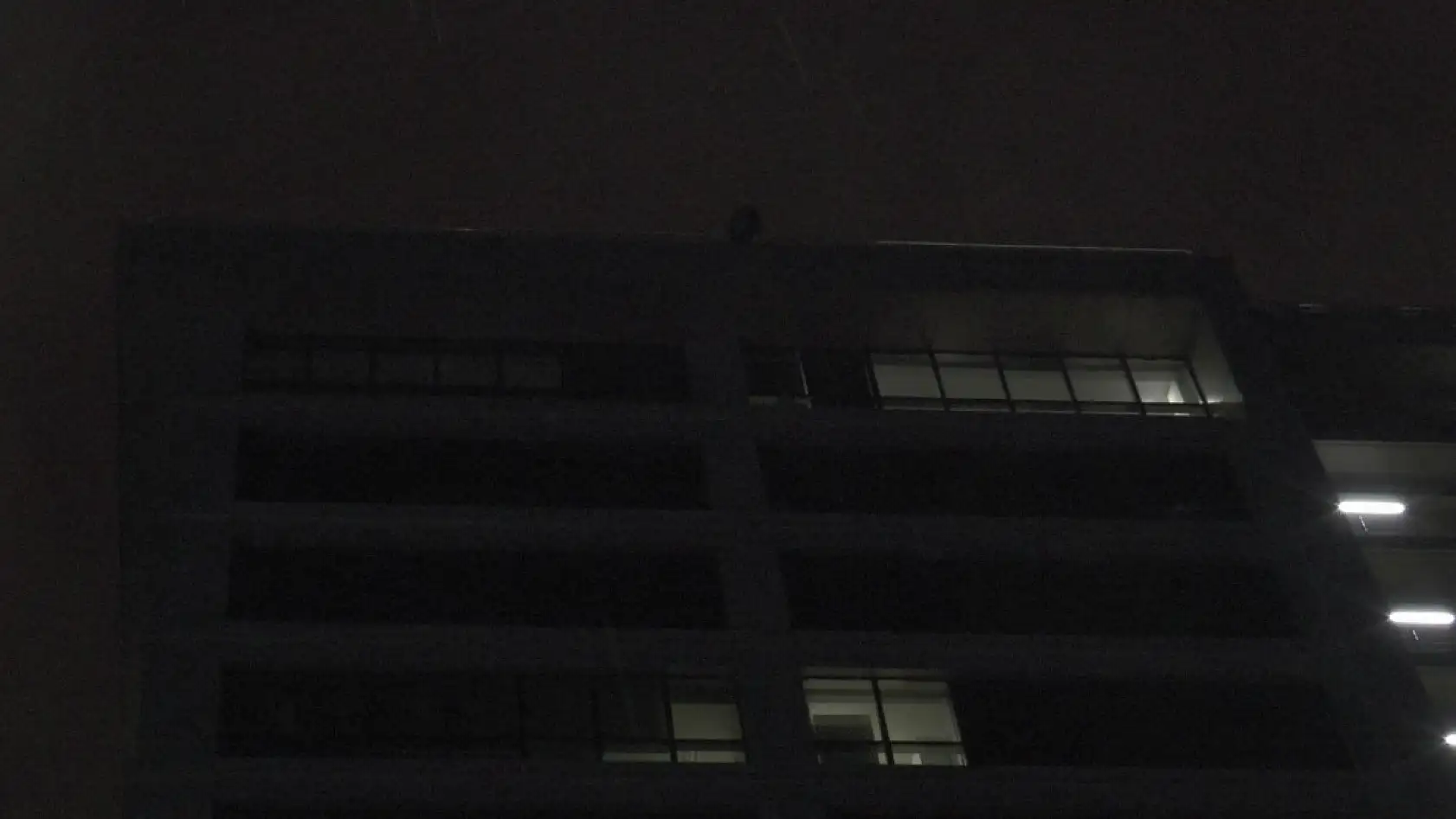 14. Kattan atlamak istedi