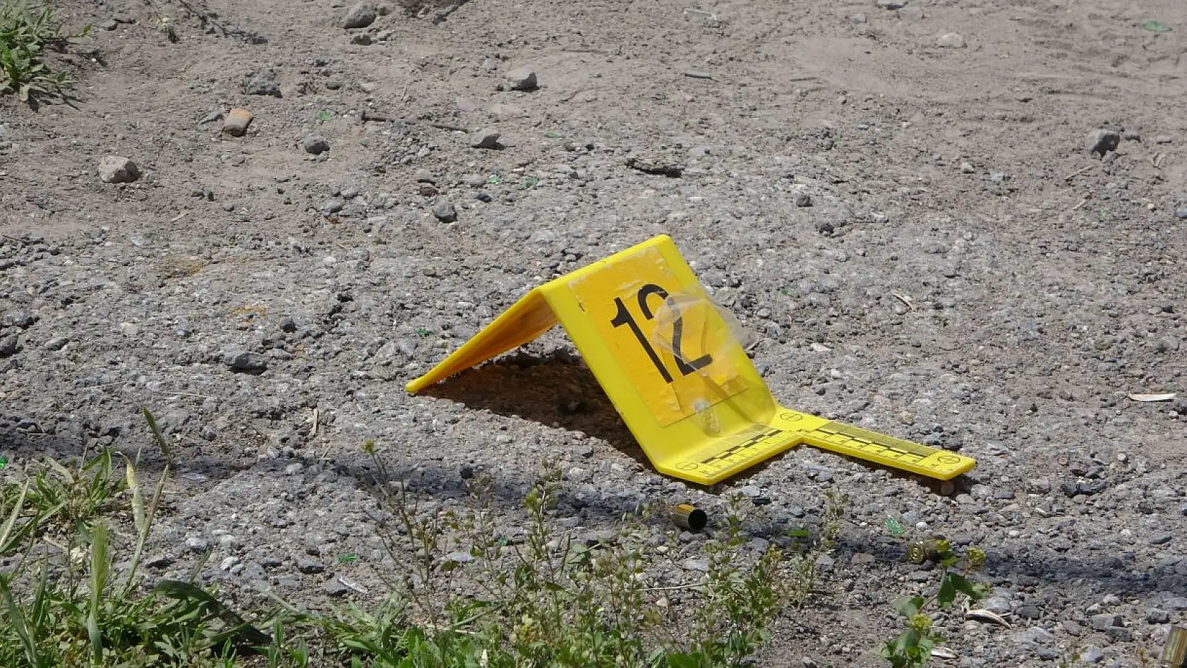 Silahlı dehşet: Annesini ve komşusunu vurdu