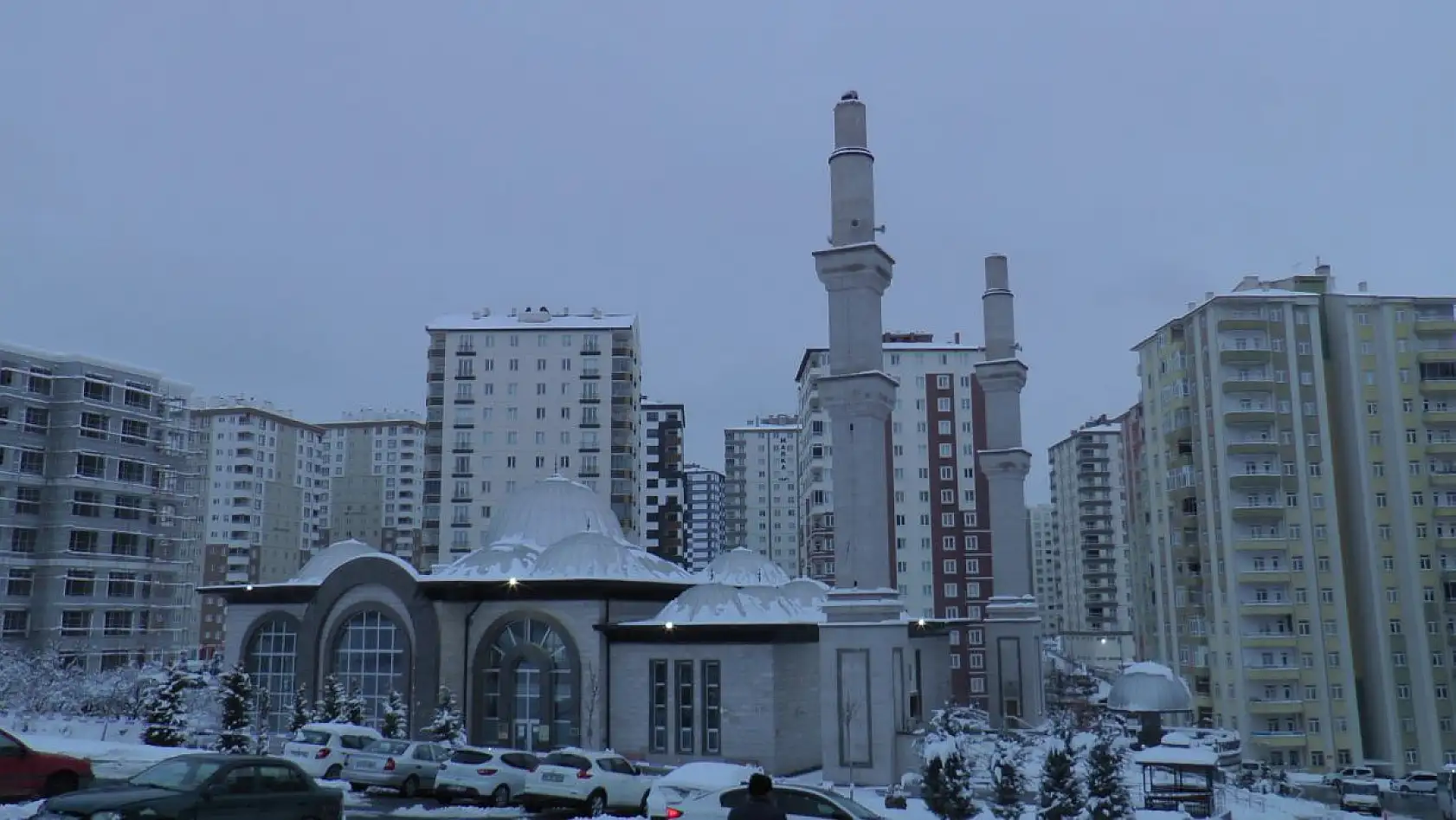 Son anda kurtuldular