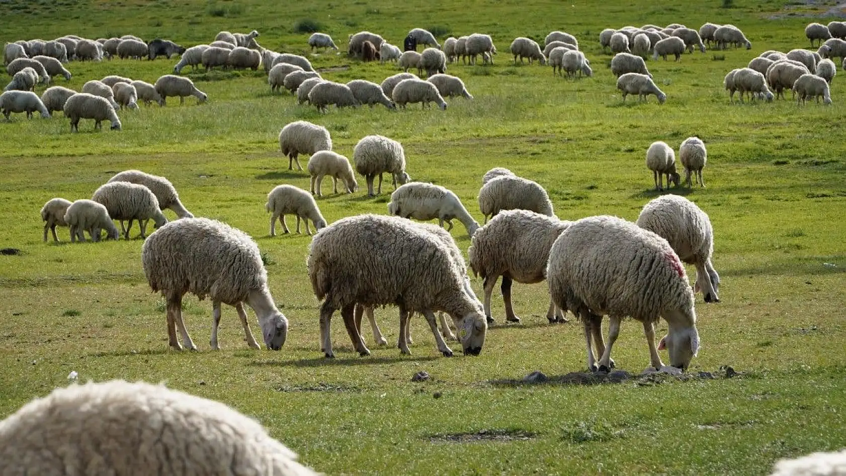 Erciyes'te muhteşem görüntüler