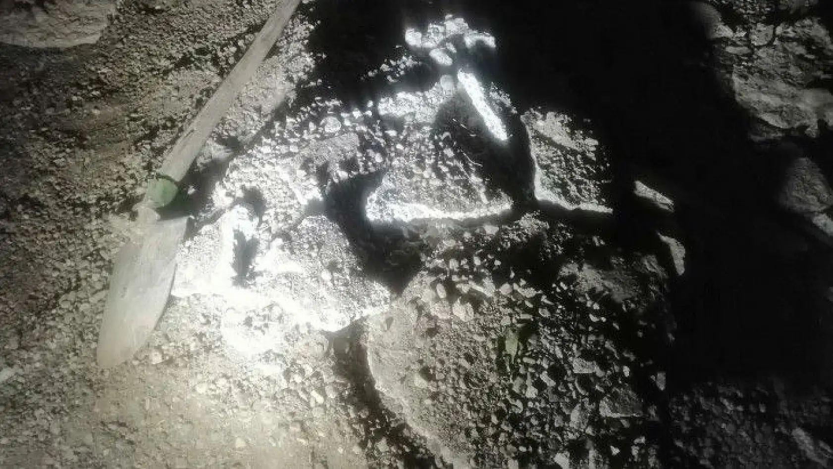 Vahşi cinayet ortaya çıktı