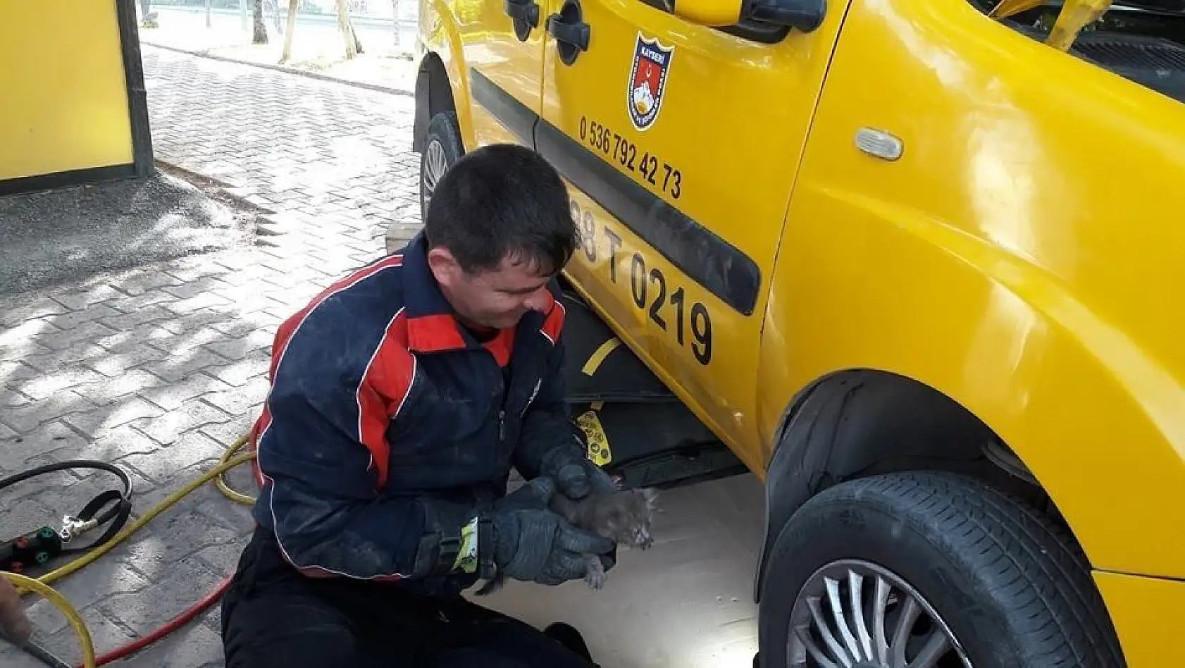 Aracın motor bölümüne sıkışan kediyi itfaiye ekipleri kurtardı