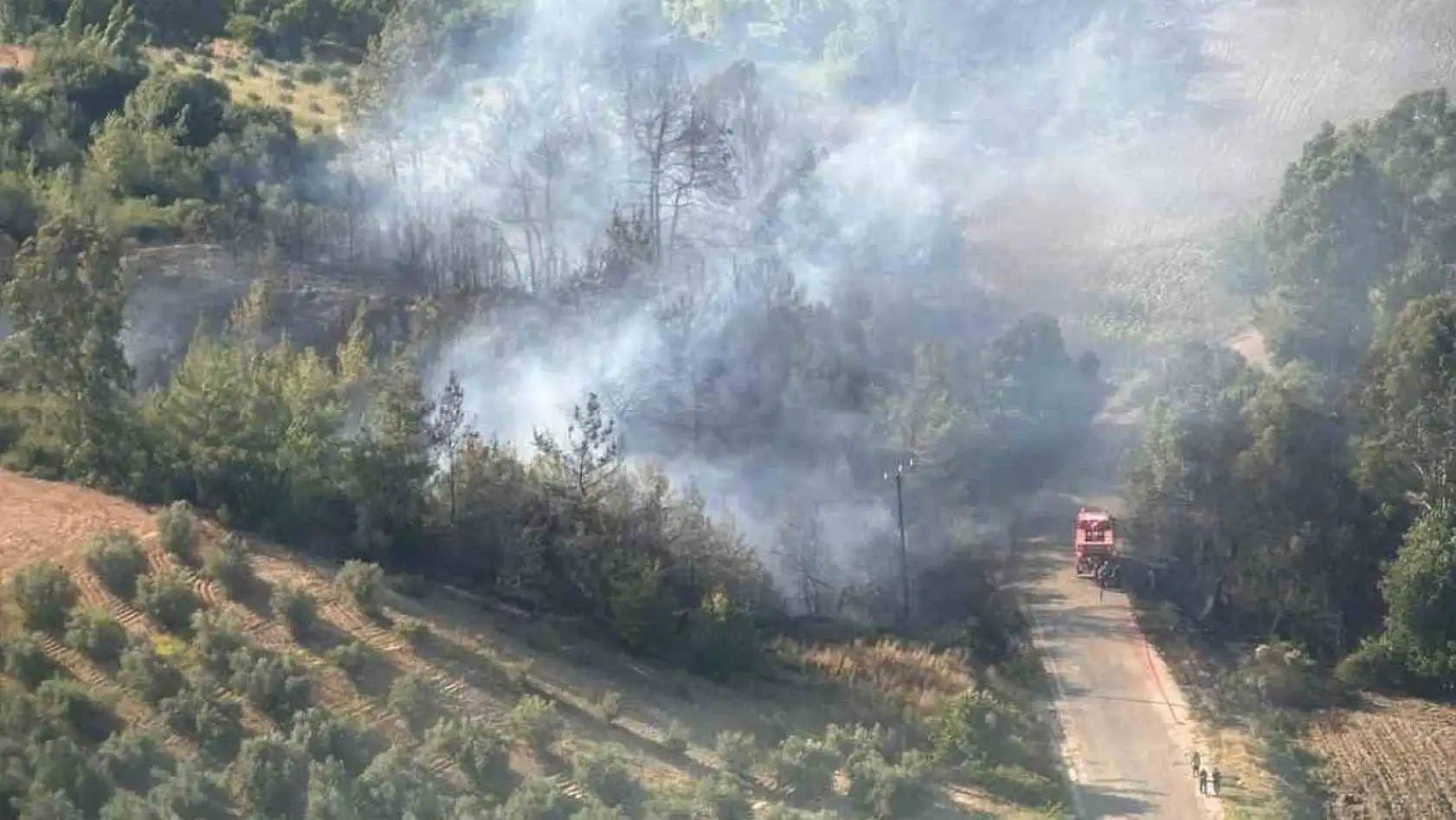 Ceyhan'da orman yangını