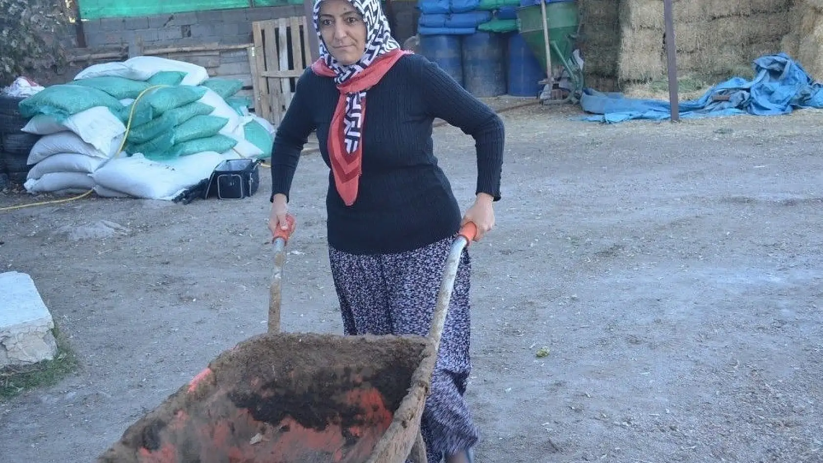 4 çocuk annesi kadın hayvancılık yapmak için köye taşındı
