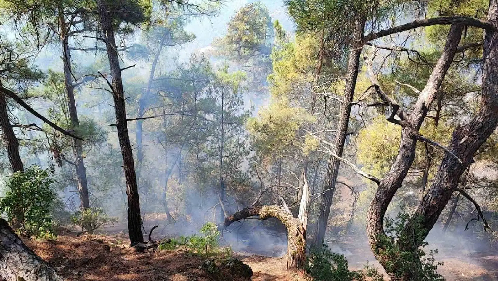 Feke'deki orman yangını kontrol altına alındı