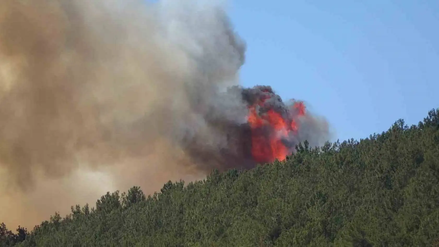 Kahramanmaraş'taki orman yangını söndürüldü