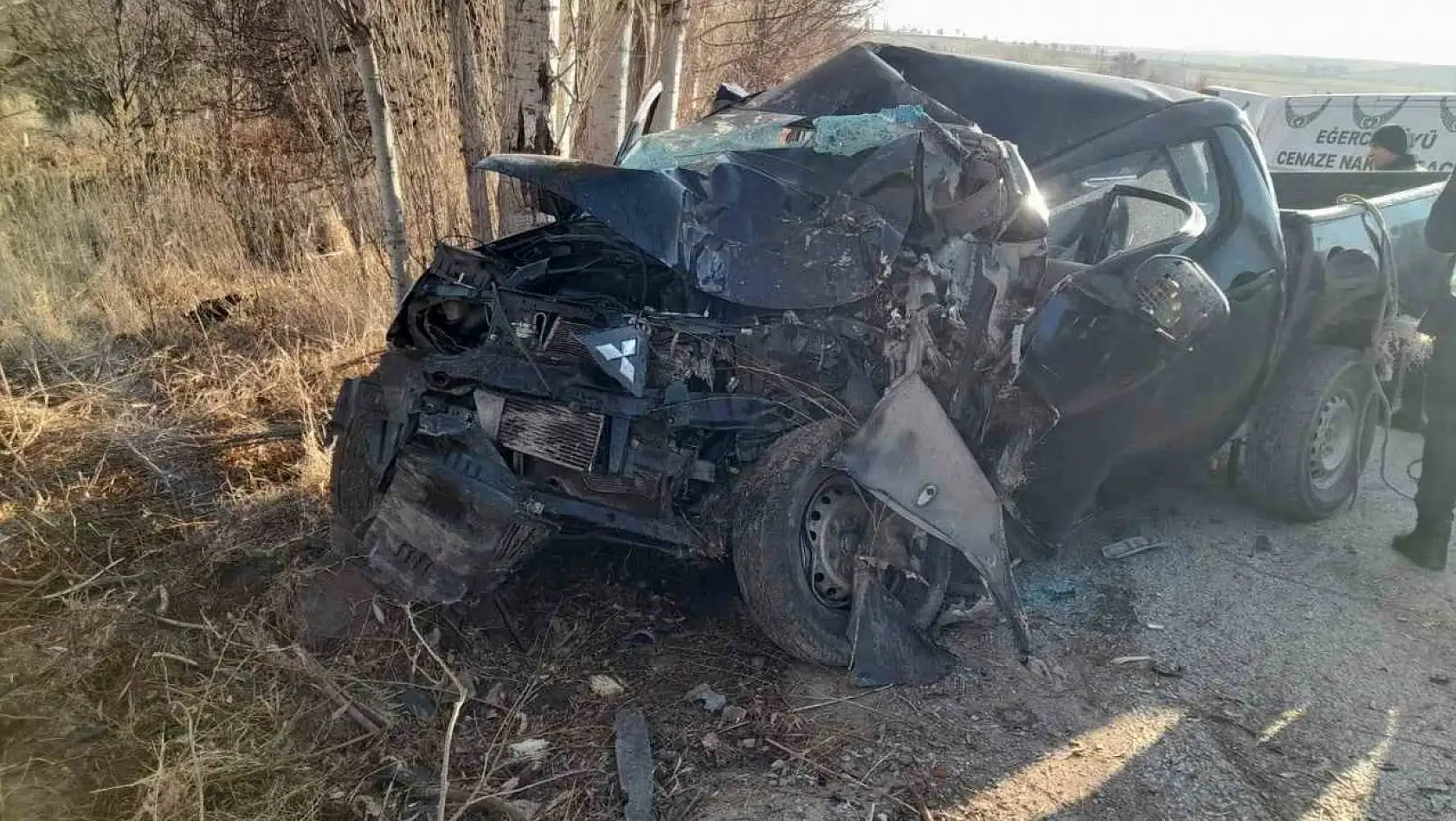 Kamyonet ağaca çarptı, sürücü hayatını kaybetti