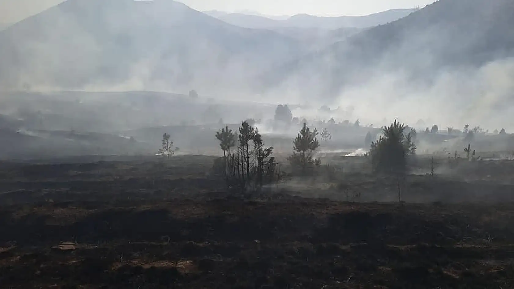 Kayseri'de çıkan yangında 20 hektarlık alan kül oldu